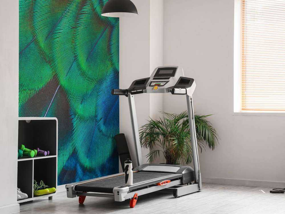 Close-up van pauwenveren