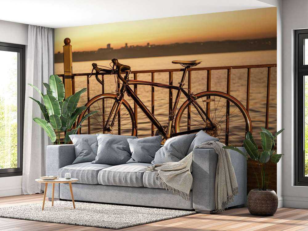 Racefiets aan het water