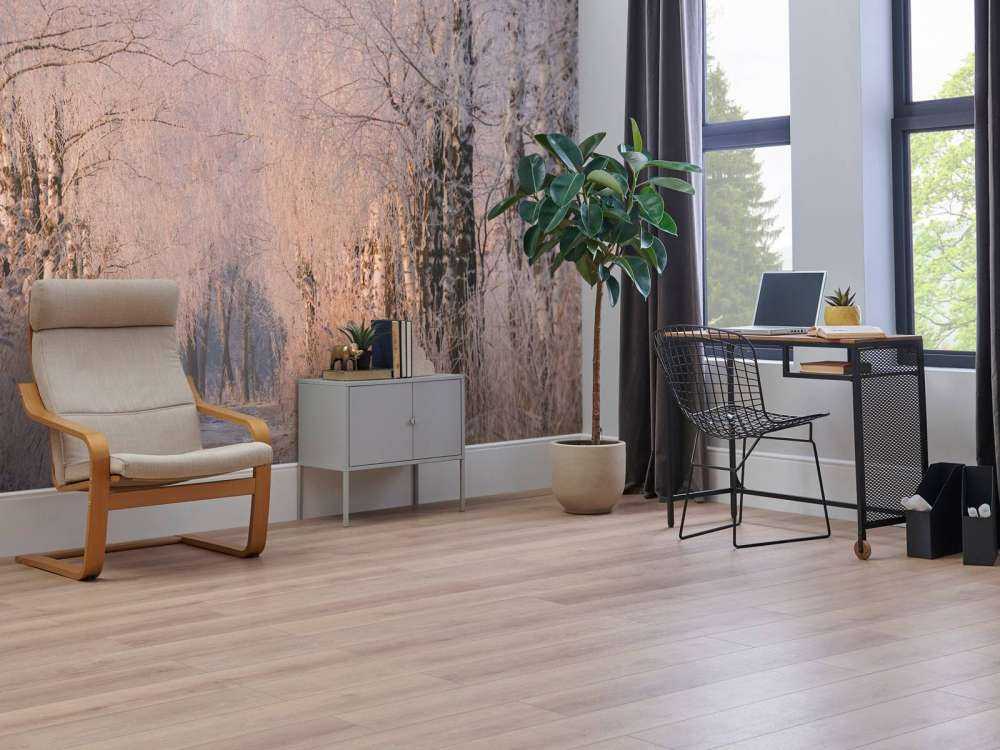 Bomenrij in de Wintermist