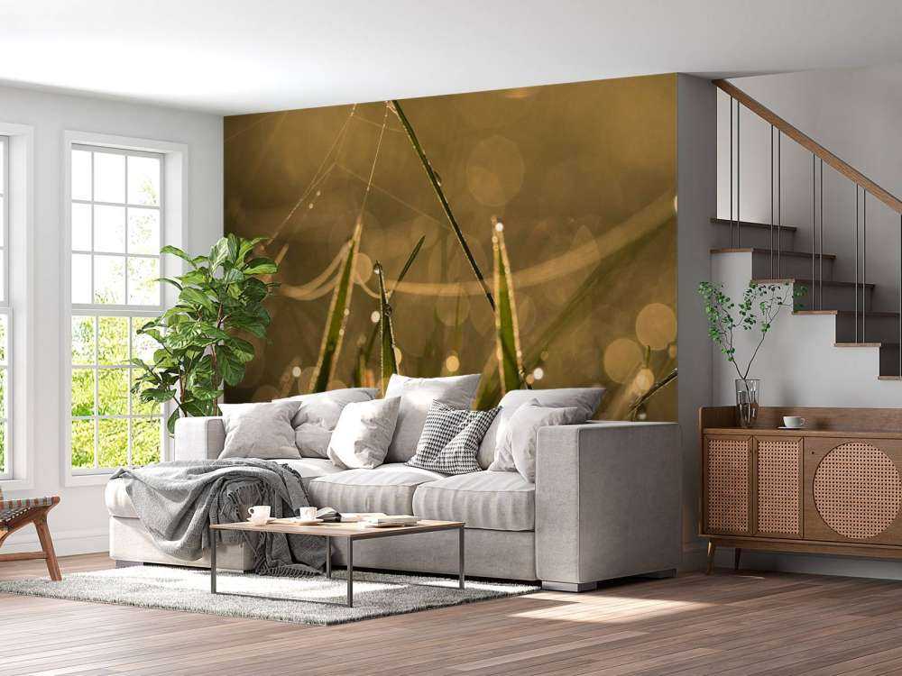 Glanzend Ochtendgras