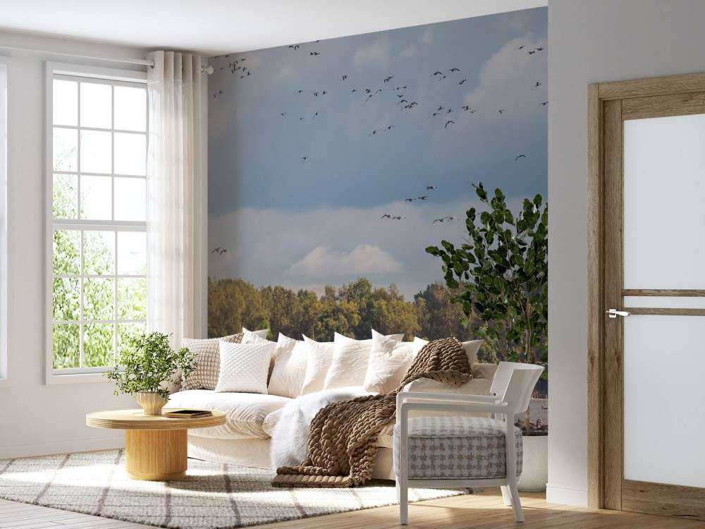 Vlucht over het Water