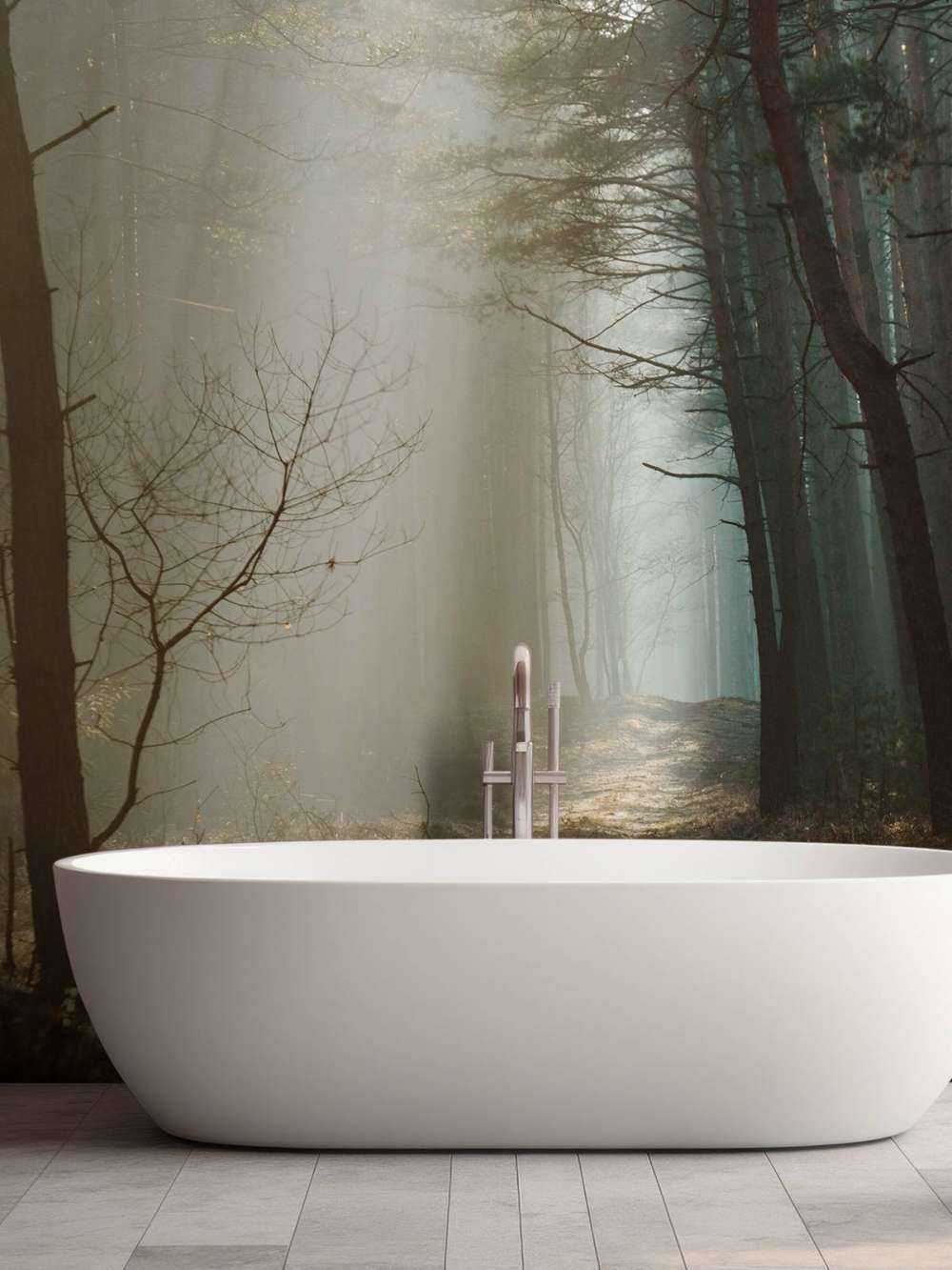 Zonnestralen in een Herfstig Bos