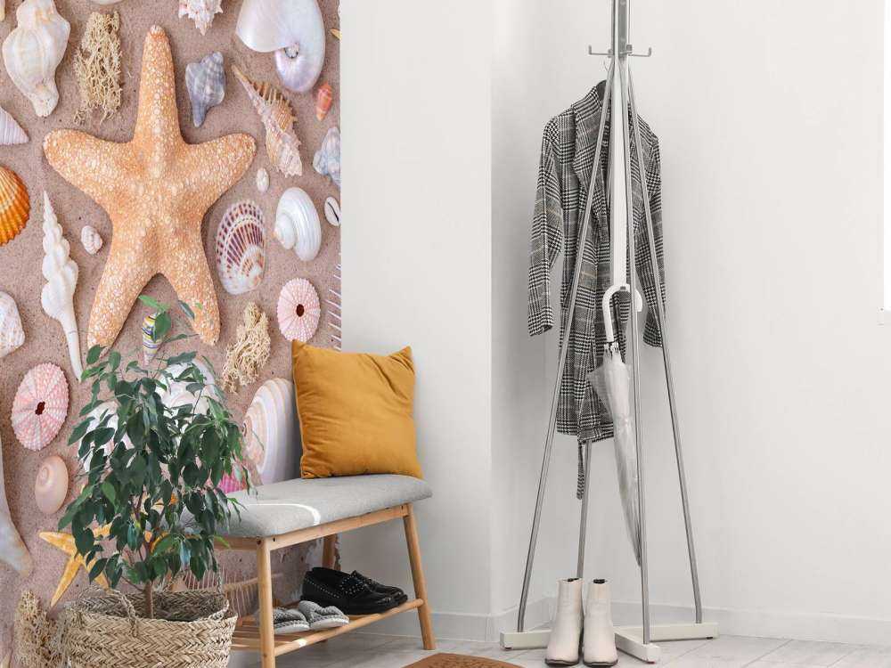 Full frame of collection of seashells