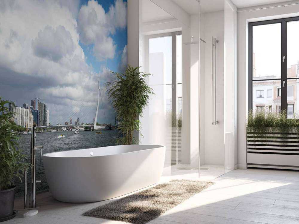 Stadszicht met Erasmusbrug