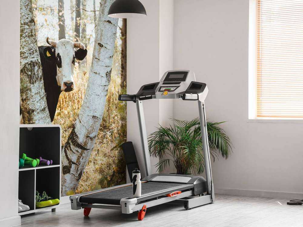 Nieuwsgierige Koe in het Woud