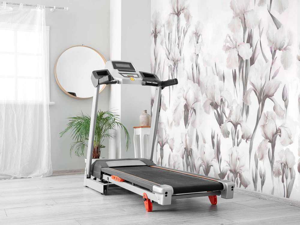 Irises Dance Seamless Soft Gray