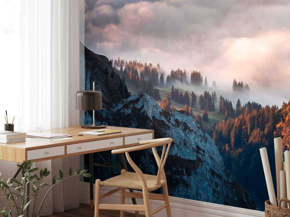 Bosrand in ochtendnevel