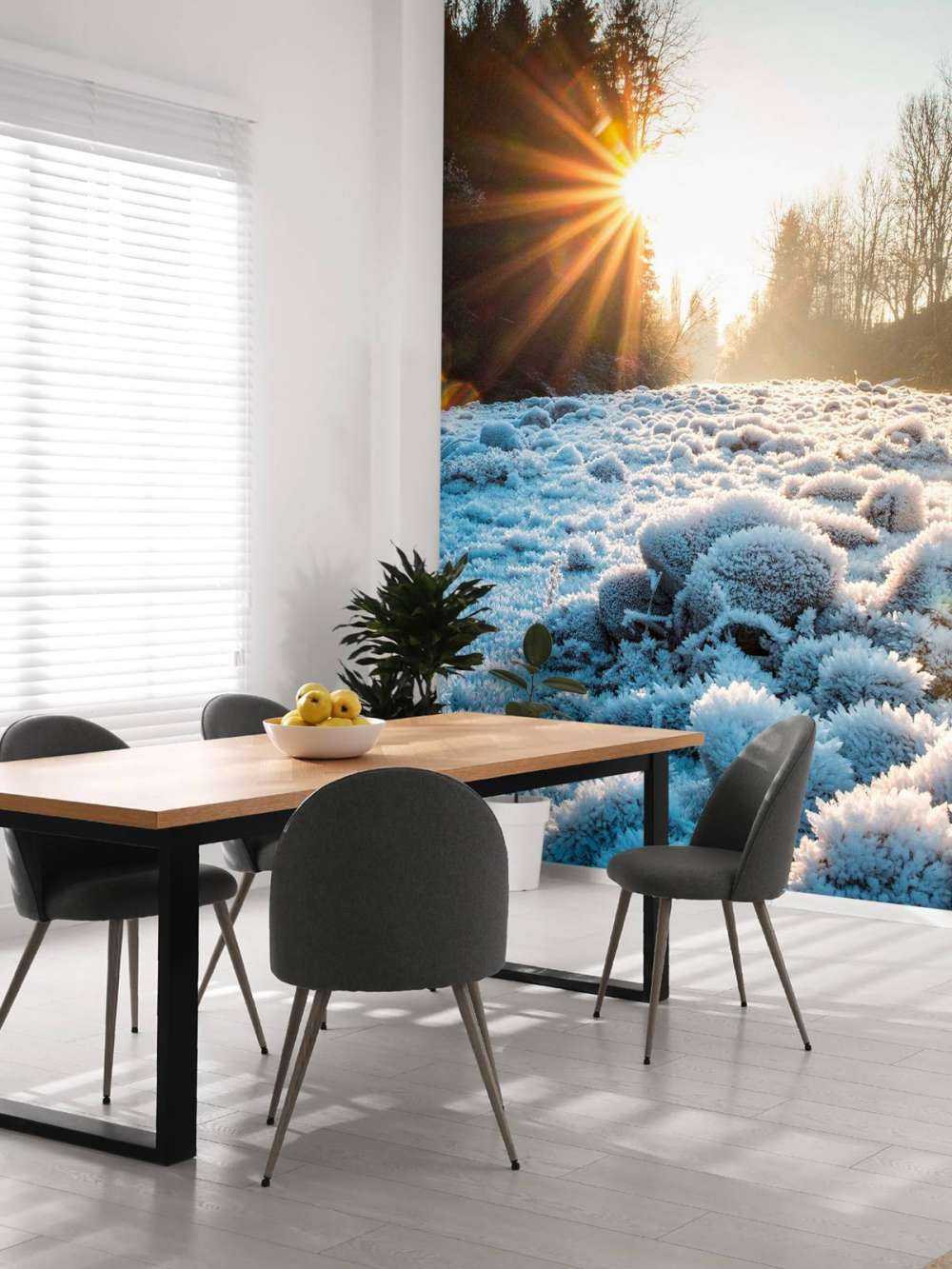 Ijzige ochtend in winterbos