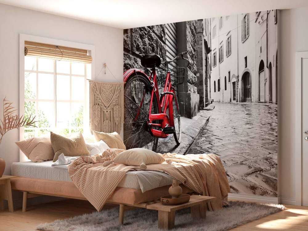 Rode fiets