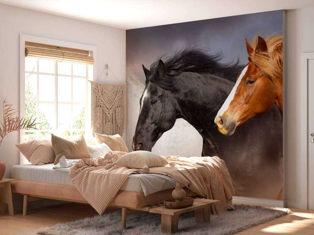 Kudde paarden