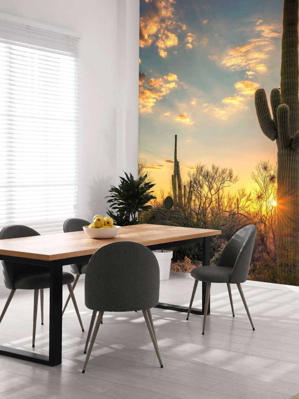 Cactus met zonsondergang