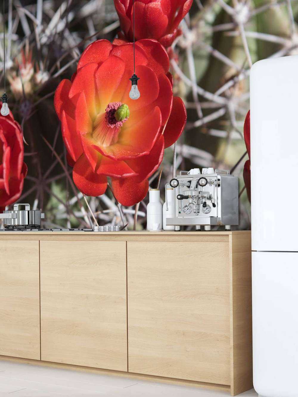 Rode cactus bloemen