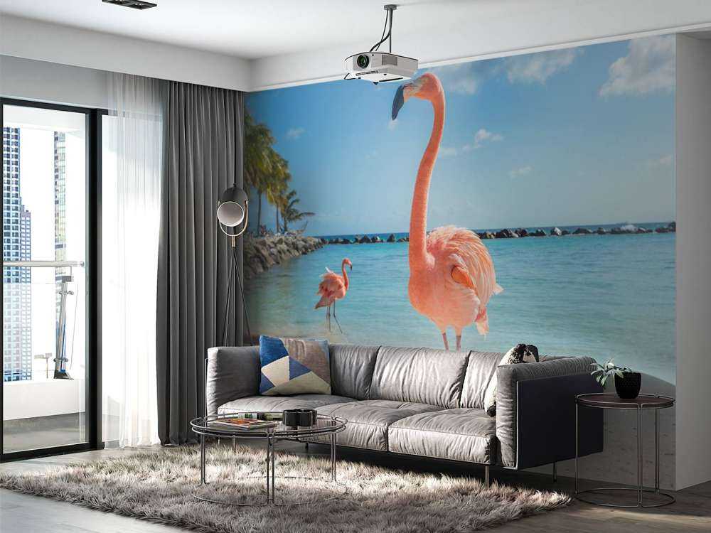 Flamingo op het strand
