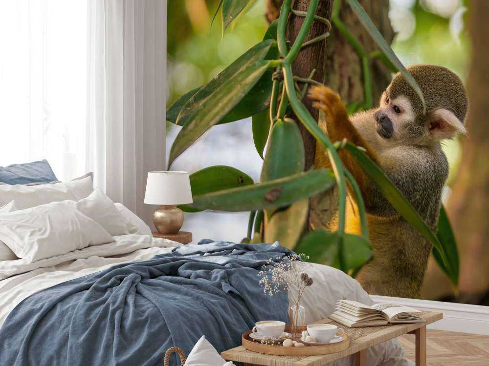 Kleine aap in de bomen