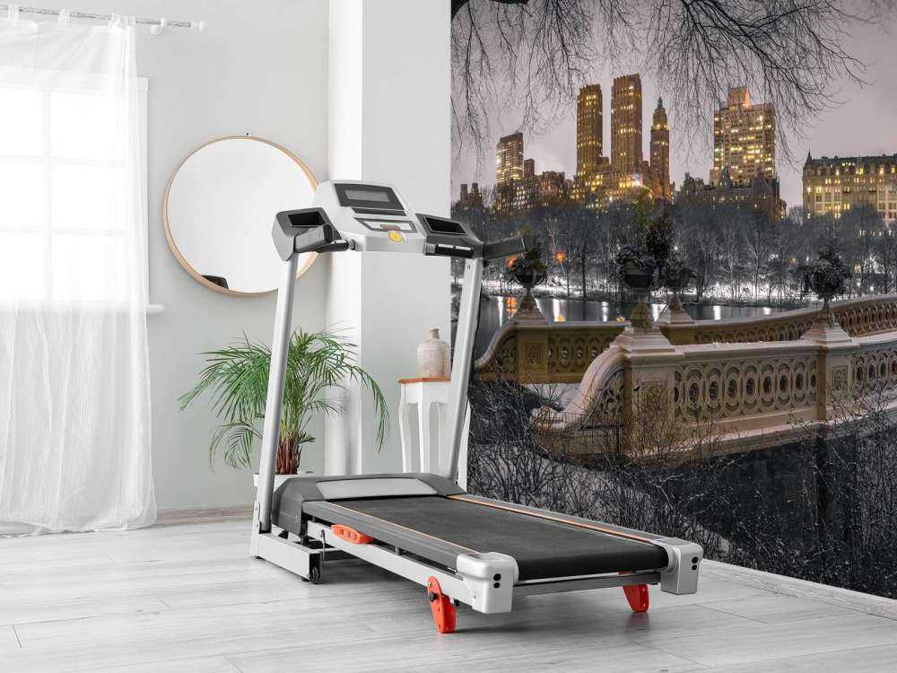 Central park en Manhattan