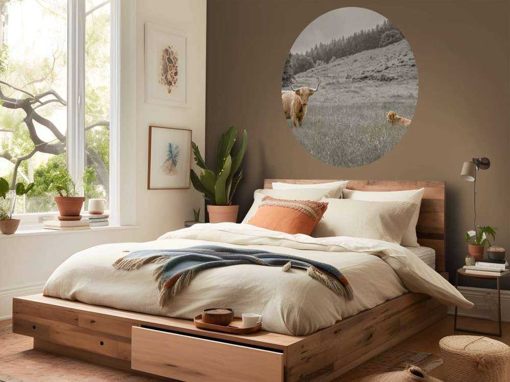 Schotse hooglander met kalf