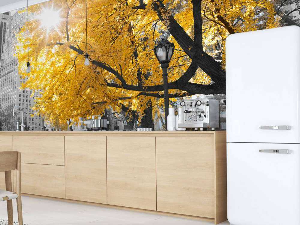 Een pad door Central park