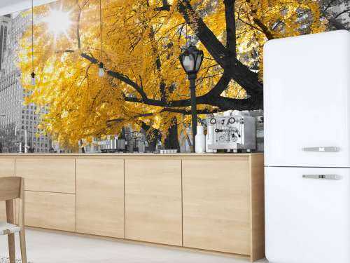 Een pad door Central park