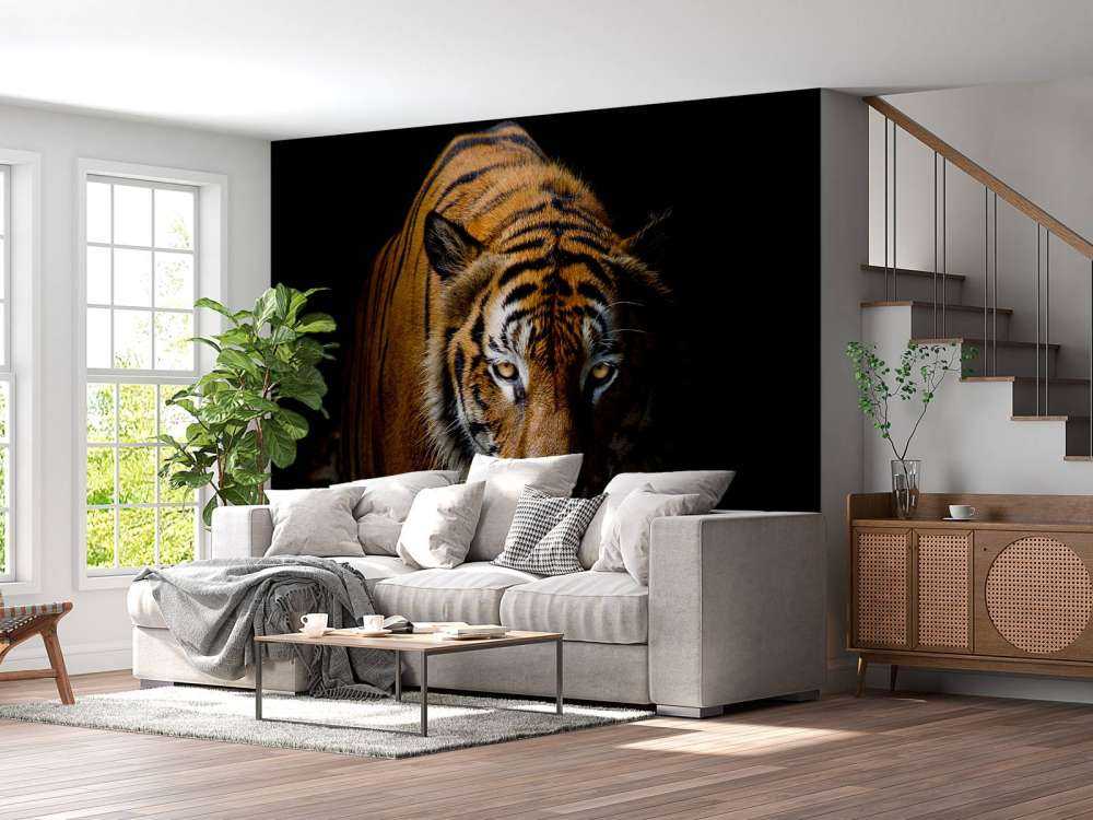 Tijger met een zwarte achtergrond