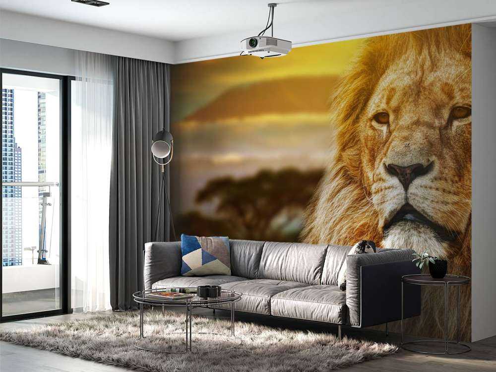 Leeuw in een savanne landschap