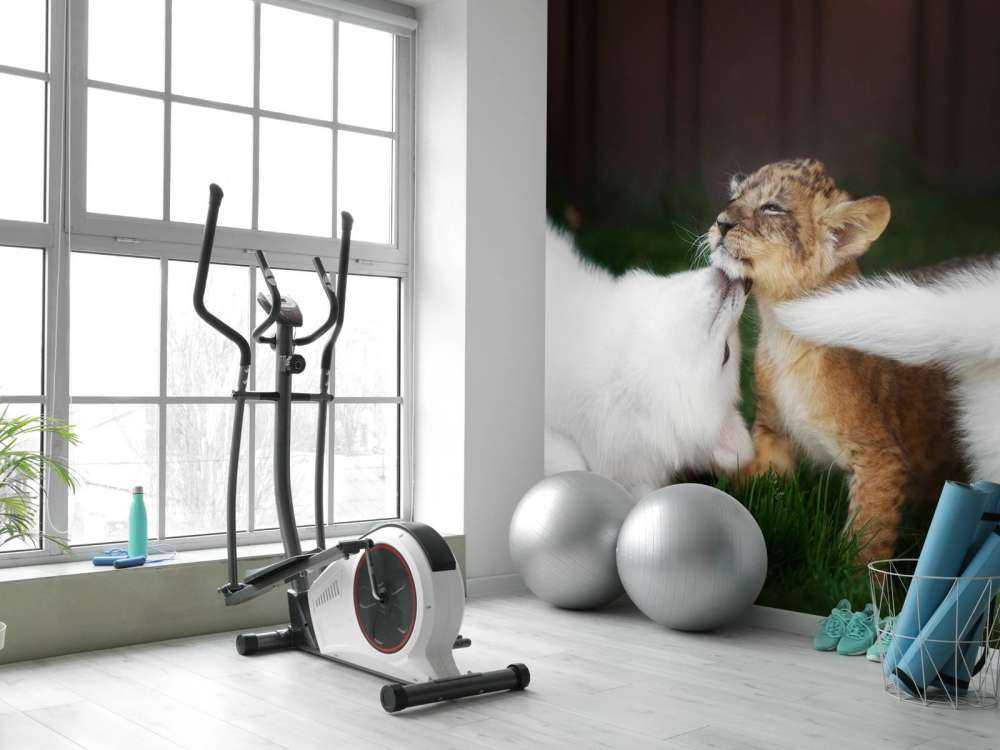 Welpje speelt met Zwitserse witte herders