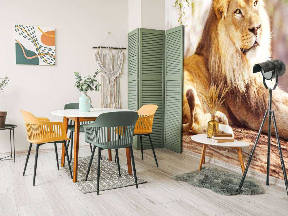 Prachtige Afrikaanse leeuw in de zon