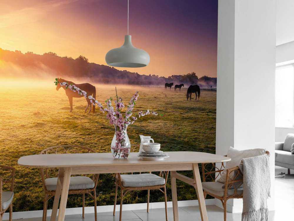 Grazende paarden bij zonsondergang