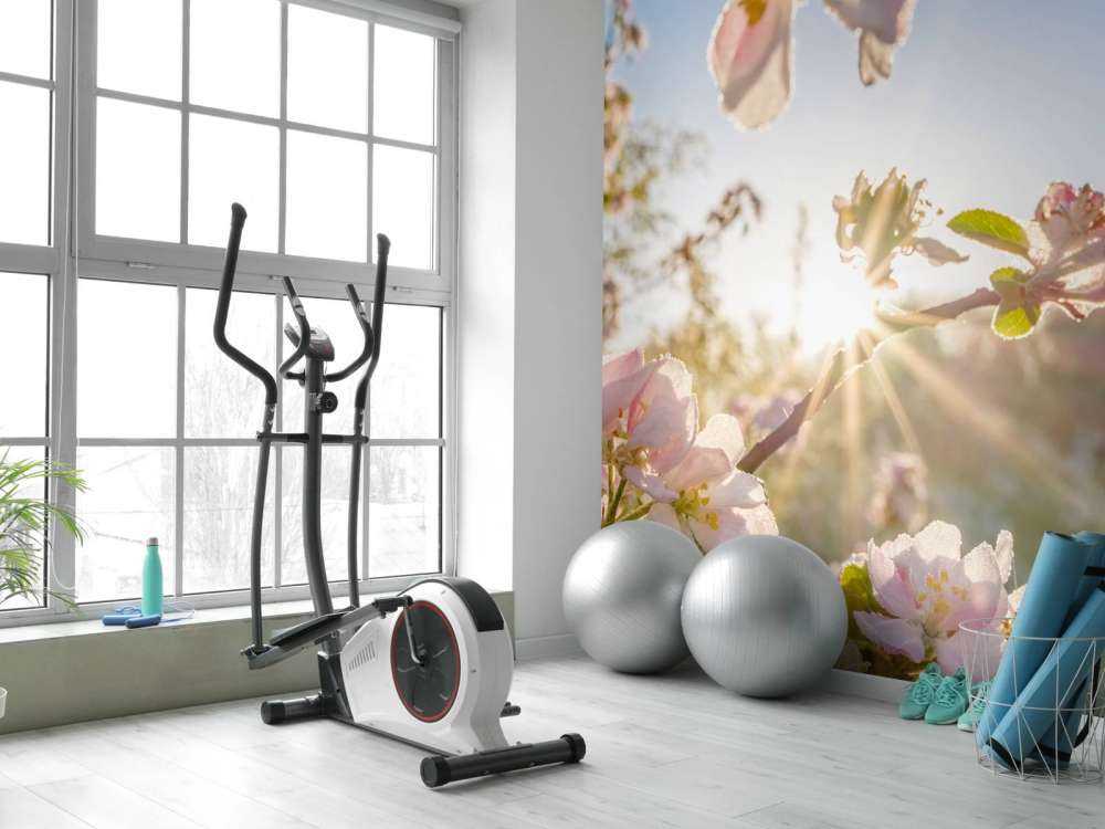 Felle Zon achter Bloesem takjes