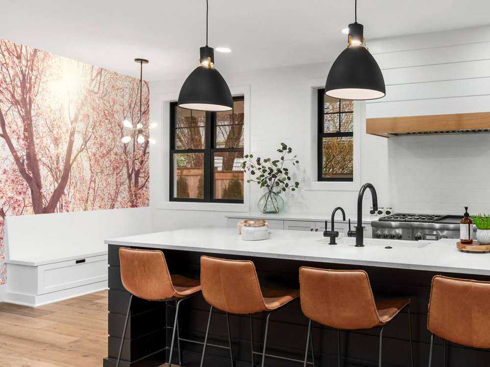 Boom Bloesem met Zon op Achtergrond