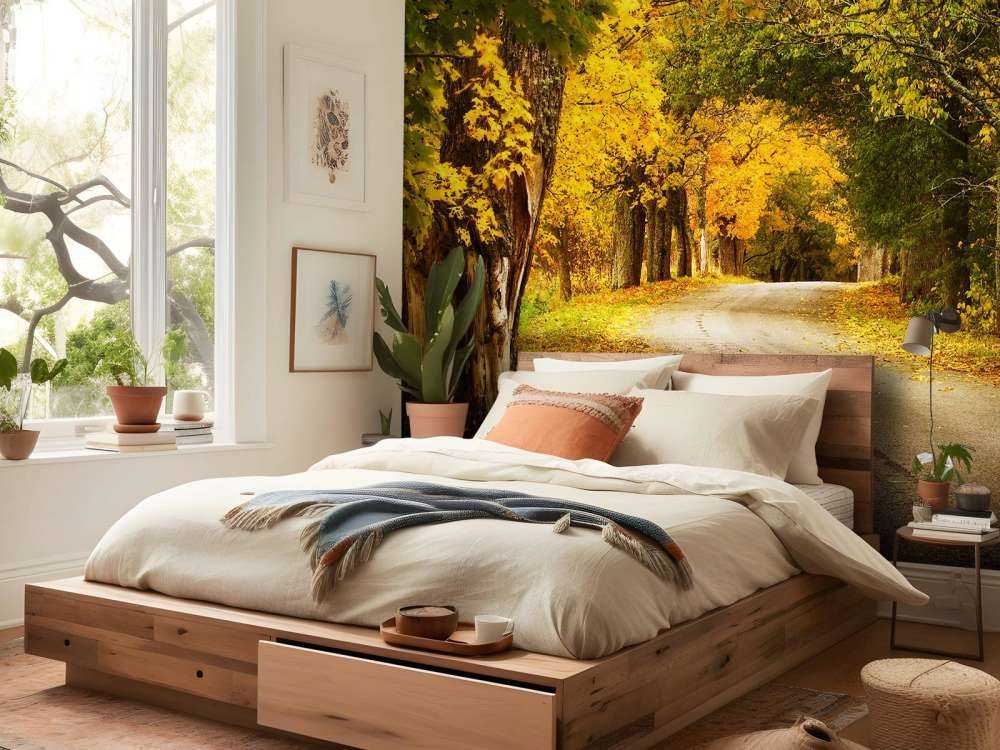 Weg met Bomen in de Herfst