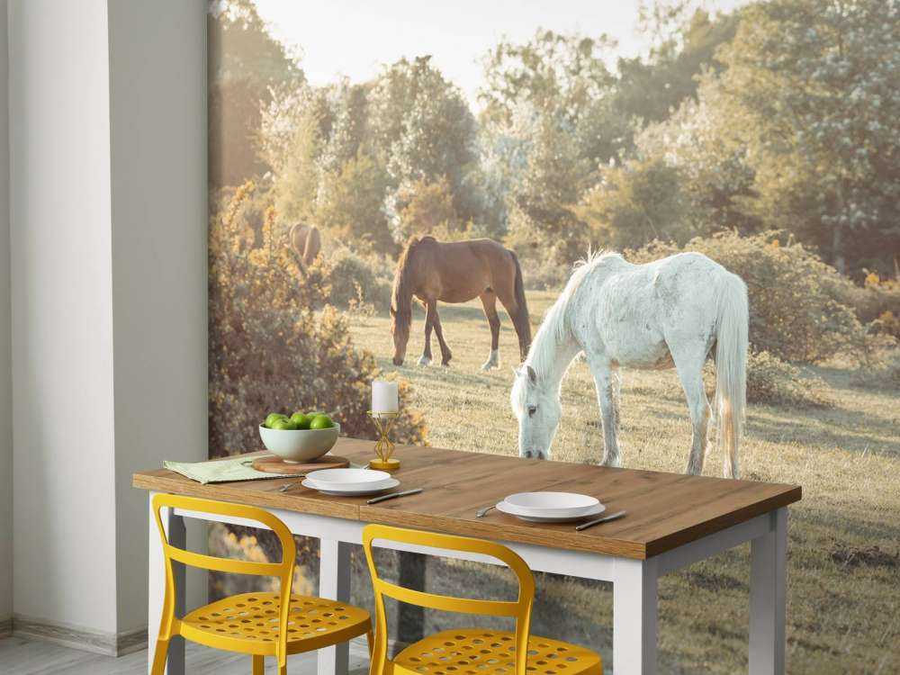 Grazende paarden
