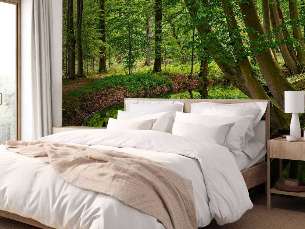 Gebogen bomen aan het water