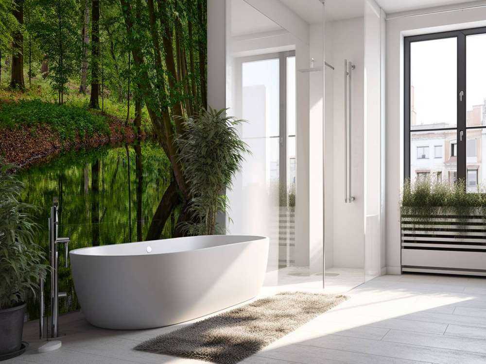 Gebogen bomen aan het water