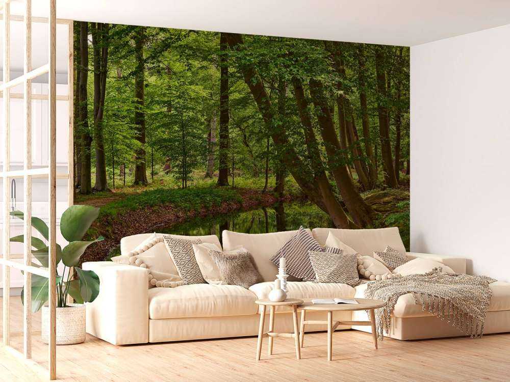 Gebogen bomen aan het water