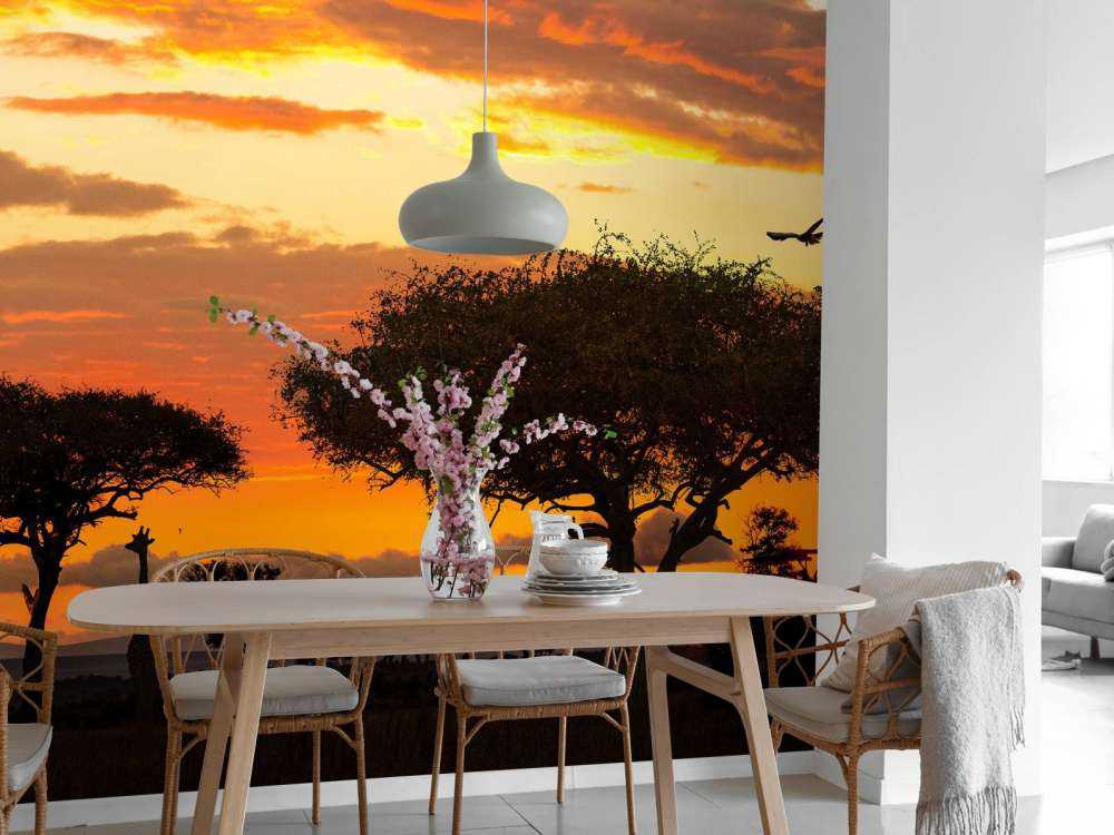 Safari in Afrika bij zonsondergang