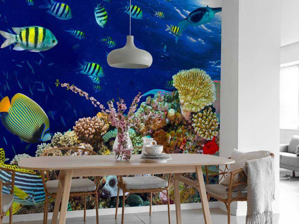 Zeeleven bij een koraalrif