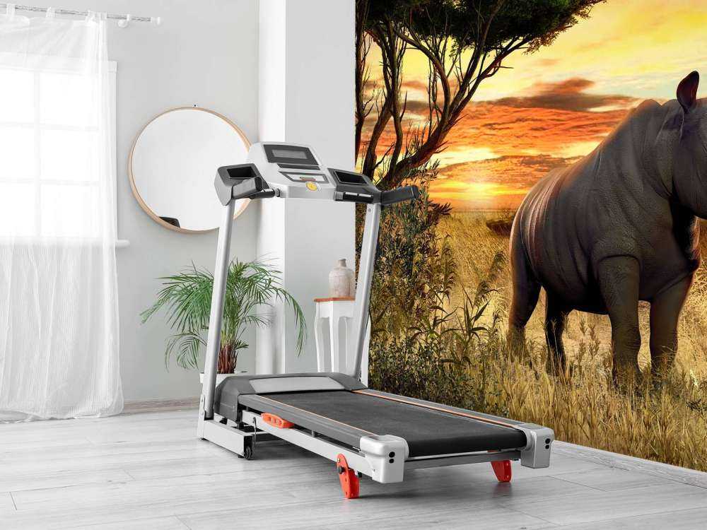 Neushoorn bij zonsondergang