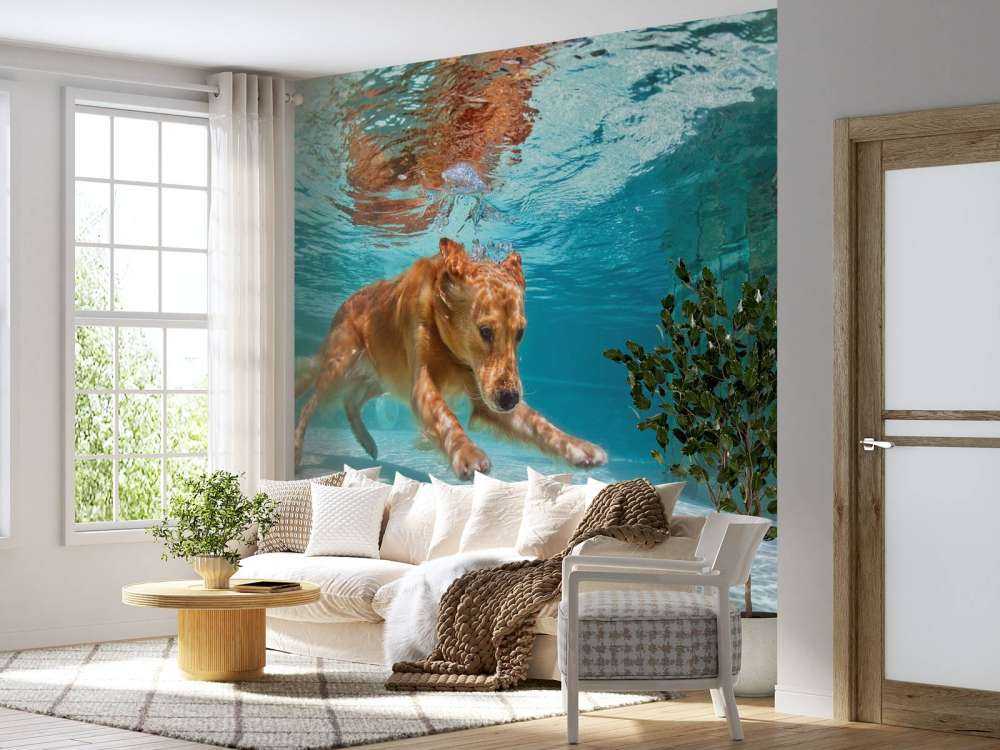 Labrador speelt onderwater