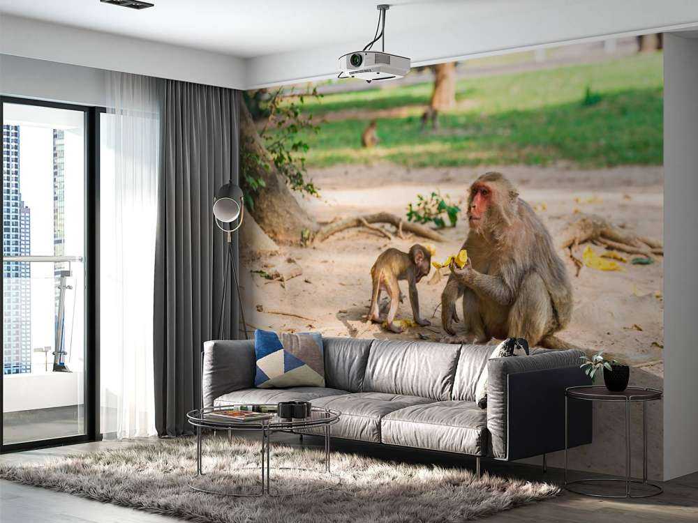 Moeder aap geeft haar kindje te eten