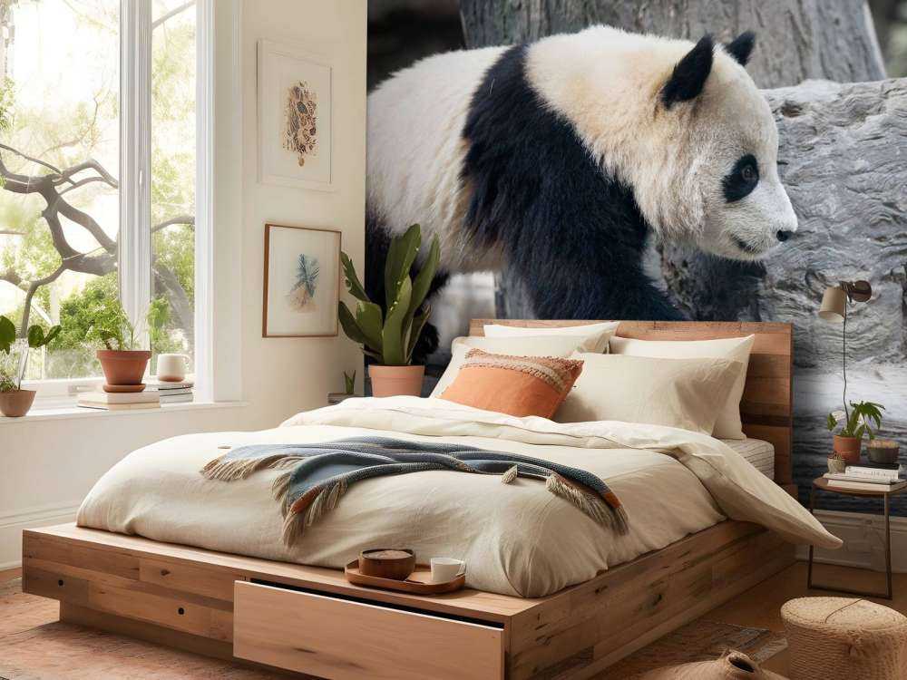 Panda in een dierentuin