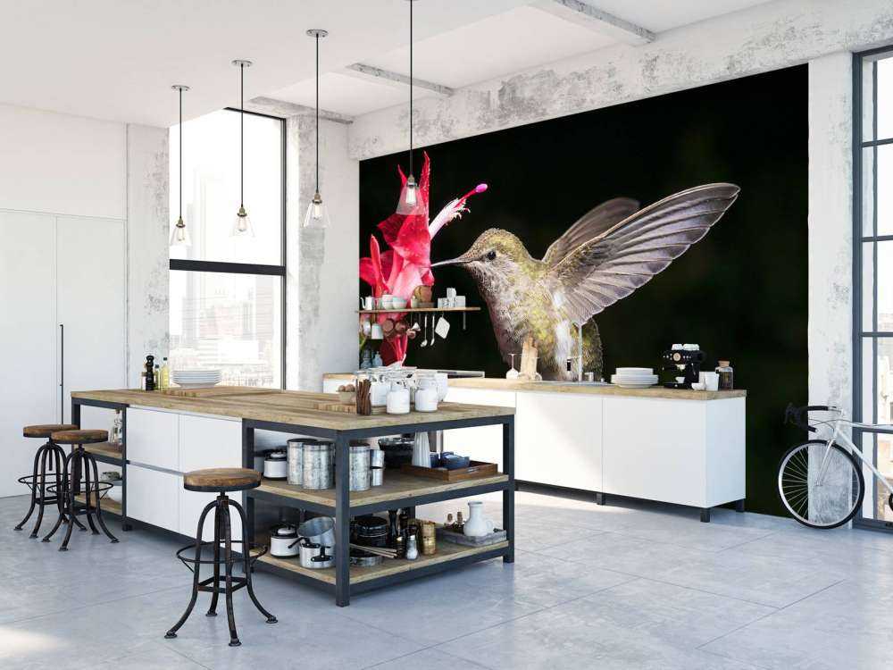 Kolibrie met rode bloem