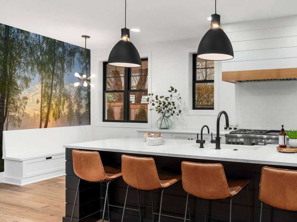 Zonsopgang bij de berken