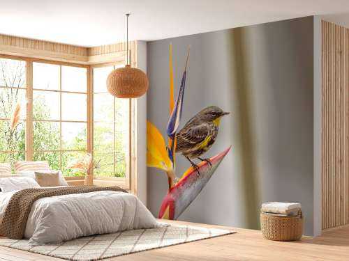 Paradijsbloem met vogeltje