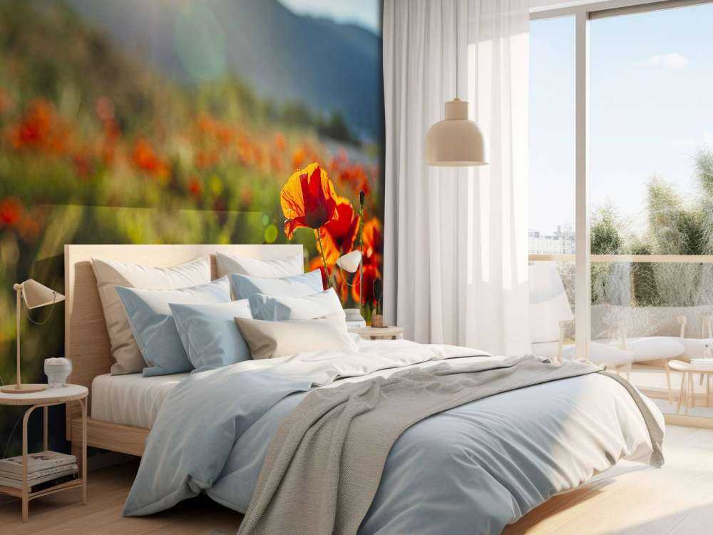 Klaprozen met zonnestralen