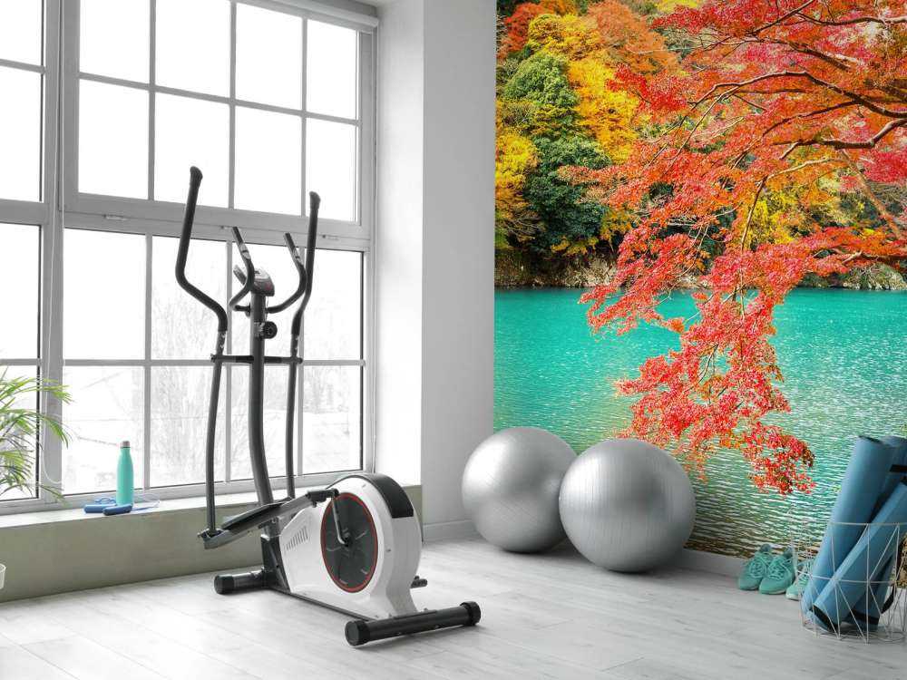Rivier in Arashiyama in het herfstseizoen