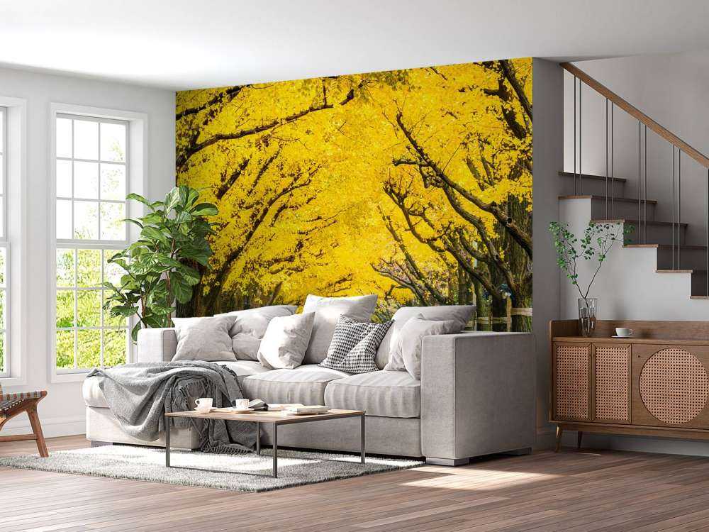Twee rijen van gele ginkgobomen in de herfst