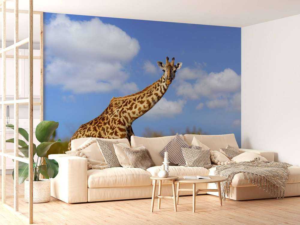 Giraffe met grappige houding