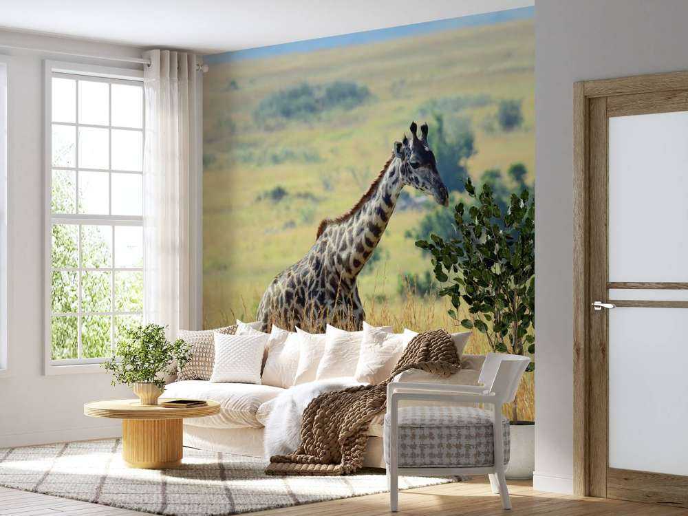 Lichte Giraffe in de natuur