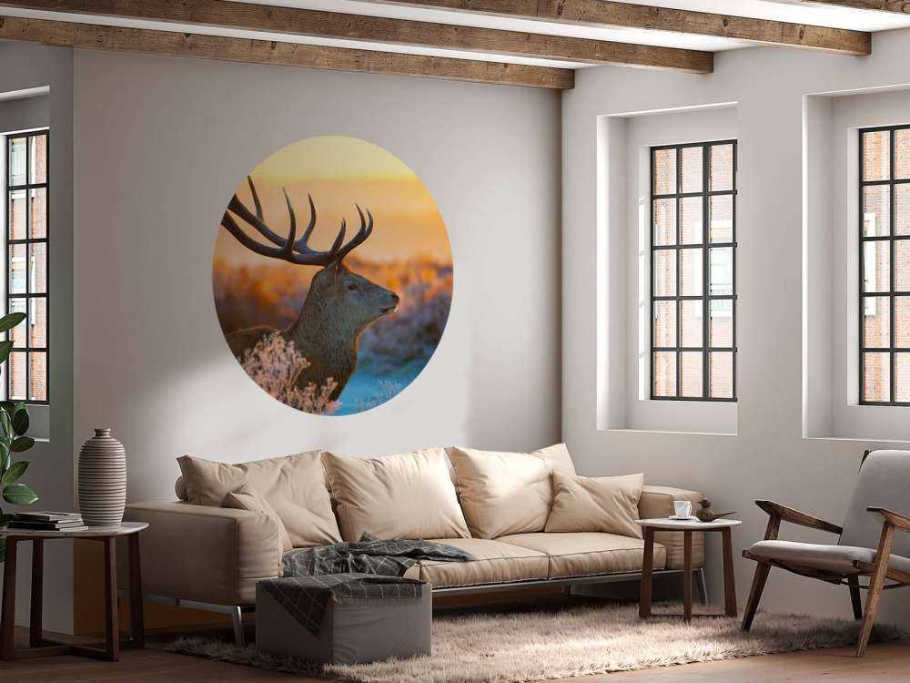 Edelhert met zichtbaar Gewei