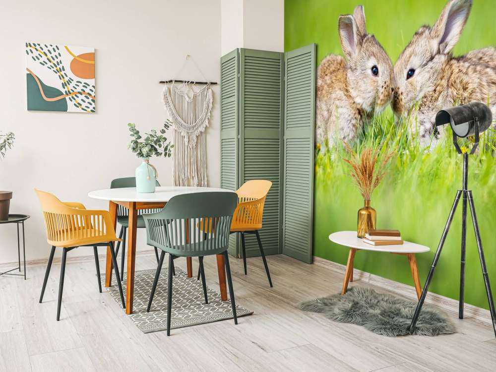 Twee baby haasjes in het gras